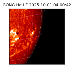 gong - 2025-10-01T04:00:42