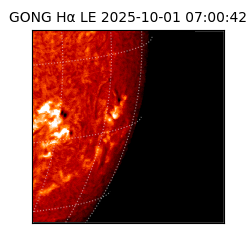 gong - 2025-10-01T07:00:42