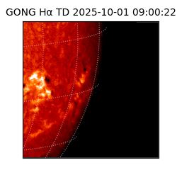 gong - 2025-10-01T09:00:22
