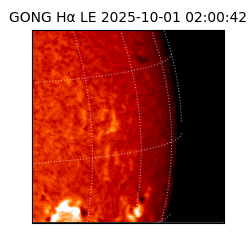 gong - 2025-10-01T02:00:42