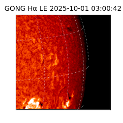 gong - 2025-10-01T03:00:42