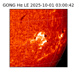gong - 2025-10-01T03:00:42