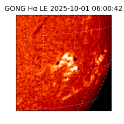 gong - 2025-10-01T06:00:42