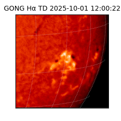 gong - 2025-10-01T12:00:22
