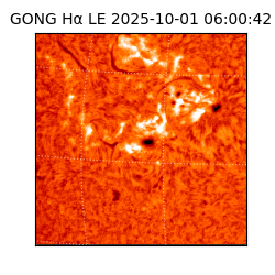 gong - 2025-10-01T06:00:42