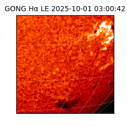 gong - 2025-10-01T03:00:42