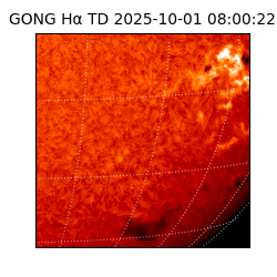 gong - 2025-10-01T08:00:22