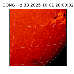 gong - 2025-10-01T20:00:02