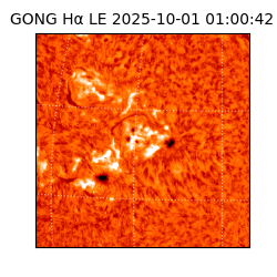 gong - 2025-10-01T01:00:42