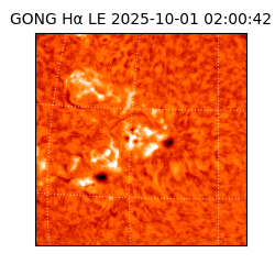 gong - 2025-10-01T02:00:42