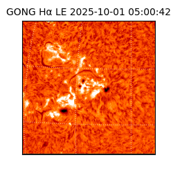 gong - 2025-10-01T05:00:42