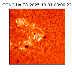 gong - 2025-10-01T08:00:22