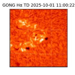 gong - 2025-10-01T11:00:22