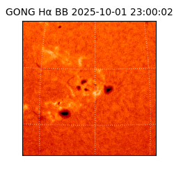 gong - 2025-10-01T23:00:02