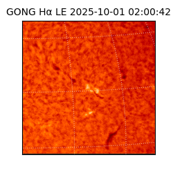 gong - 2025-10-01T02:00:42
