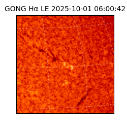 gong - 2025-10-01T06:00:42