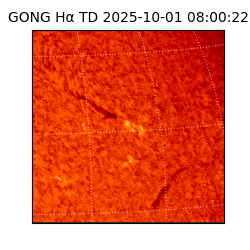 gong - 2025-10-01T08:00:22