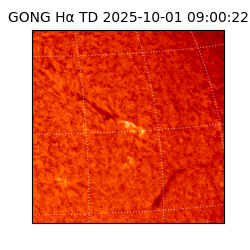 gong - 2025-10-01T09:00:22