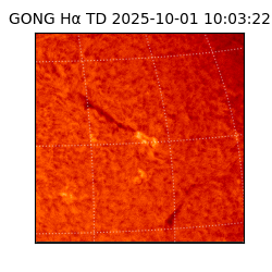 gong - 2025-10-01T10:03:22