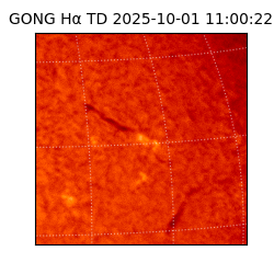 gong - 2025-10-01T11:00:22