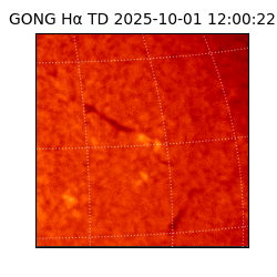 gong - 2025-10-01T12:00:22