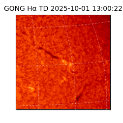 gong - 2025-10-01T13:00:22