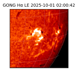 gong - 2025-10-01T02:00:42