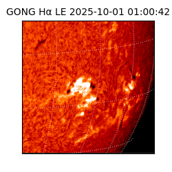 gong - 2025-10-01T01:00:42