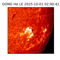 gong - 2025-10-01T02:00:42