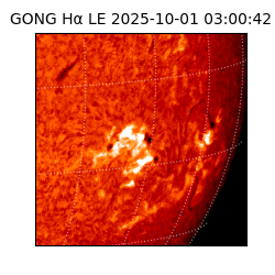 gong - 2025-10-01T03:00:42
