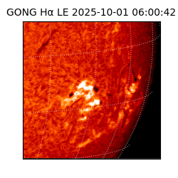 gong - 2025-10-01T06:00:42
