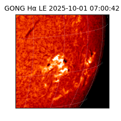 gong - 2025-10-01T07:00:42