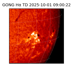 gong - 2025-10-01T09:00:22