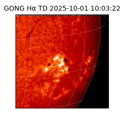 gong - 2025-10-01T10:03:22