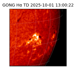 gong - 2025-10-01T13:00:22