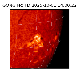 gong - 2025-10-01T14:00:22