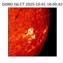gong - 2025-10-01T16:00:42