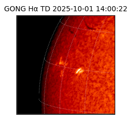 gong - 2025-10-01T14:00:22