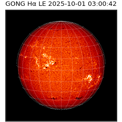 gong - 2025-10-01T03:00:42
