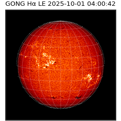 gong - 2025-10-01T04:00:42