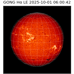gong - 2025-10-01T06:00:42