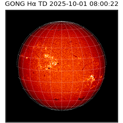 gong - 2025-10-01T08:00:22