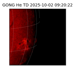 gong - 2025-10-02T09:20:22