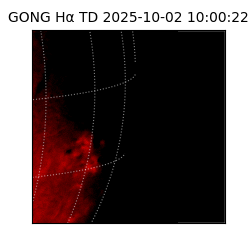 gong - 2025-10-02T10:00:22
