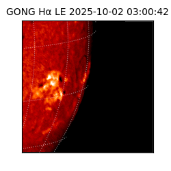 gong - 2025-10-02T03:00:42