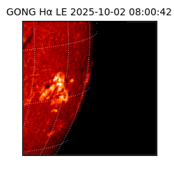 gong - 2025-10-02T08:00:42