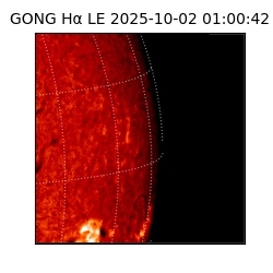 gong - 2025-10-02T01:00:42