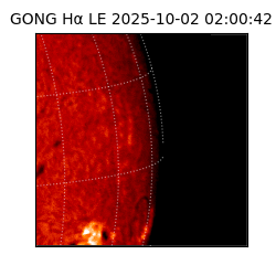 gong - 2025-10-02T02:00:42