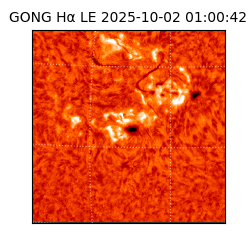 gong - 2025-10-02T01:00:42