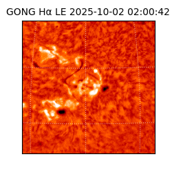 gong - 2025-10-02T02:00:42